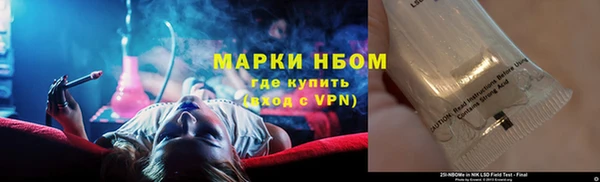 шишки Богородицк