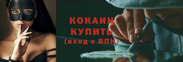шишки Богородицк