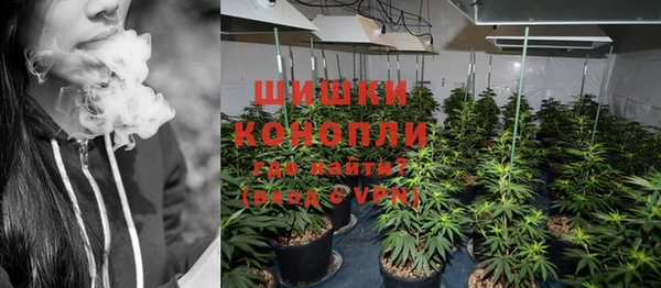 гидропоника Бородино