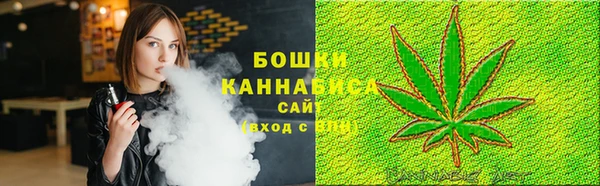 шишки Богородицк
