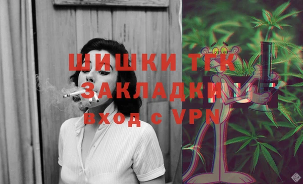 гидропоника Бородино